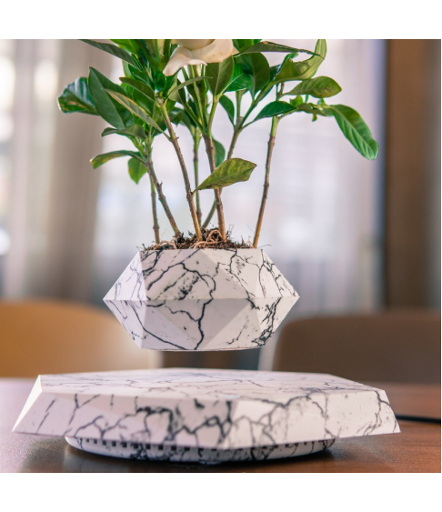 Левитирующий цветочный горшок Globusoff, мрамор, черный Левитирующий цветочный горшок Globusoff, мрамор, черный