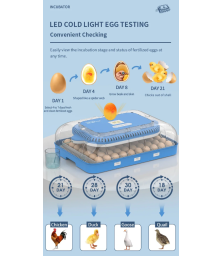 Инкубатор на 70 яиц "WONEGG" 