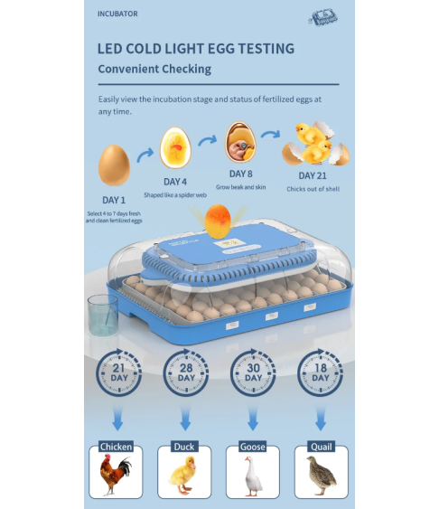 Инкубатор на 70 яиц "WONEGG" 