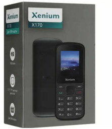 Сотовый телефон Xenium X170, с поддержкой 2G/3G/4G