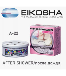 Автомобильный ароматизатор меловой "EIKOSHA"  AFTER SHOWER