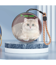 ﻿Портативный Wi-Fi шар  для фото в реальном времени 